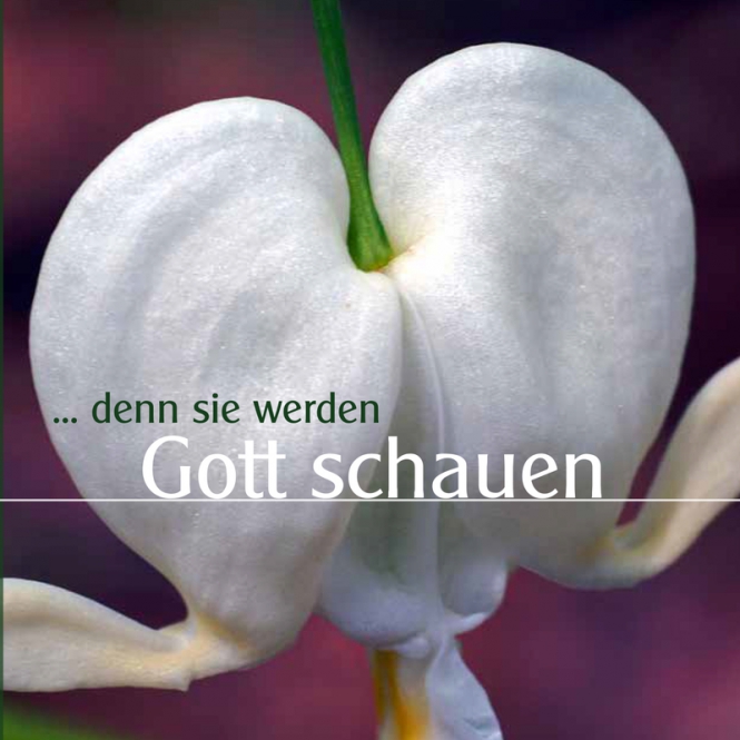 ...denn sie werden Gott schauen - CD